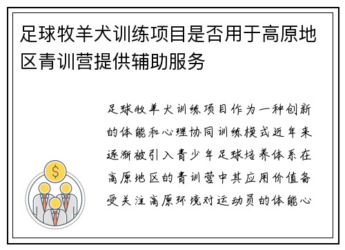 足球牧羊犬训练项目是否用于高原地区青训营提供辅助服务